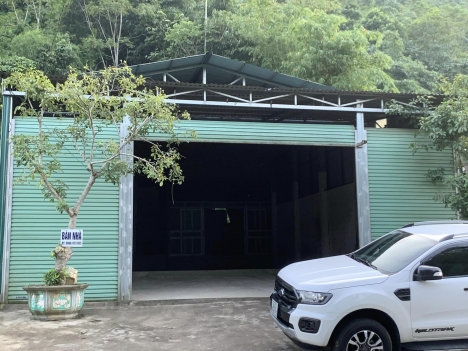 Chính chủ cần bán nhanh căn nhà tại Thôn Kim Bàn xã Hùng An Huyện Bắc Quang Tỉnh Hà Giang.
