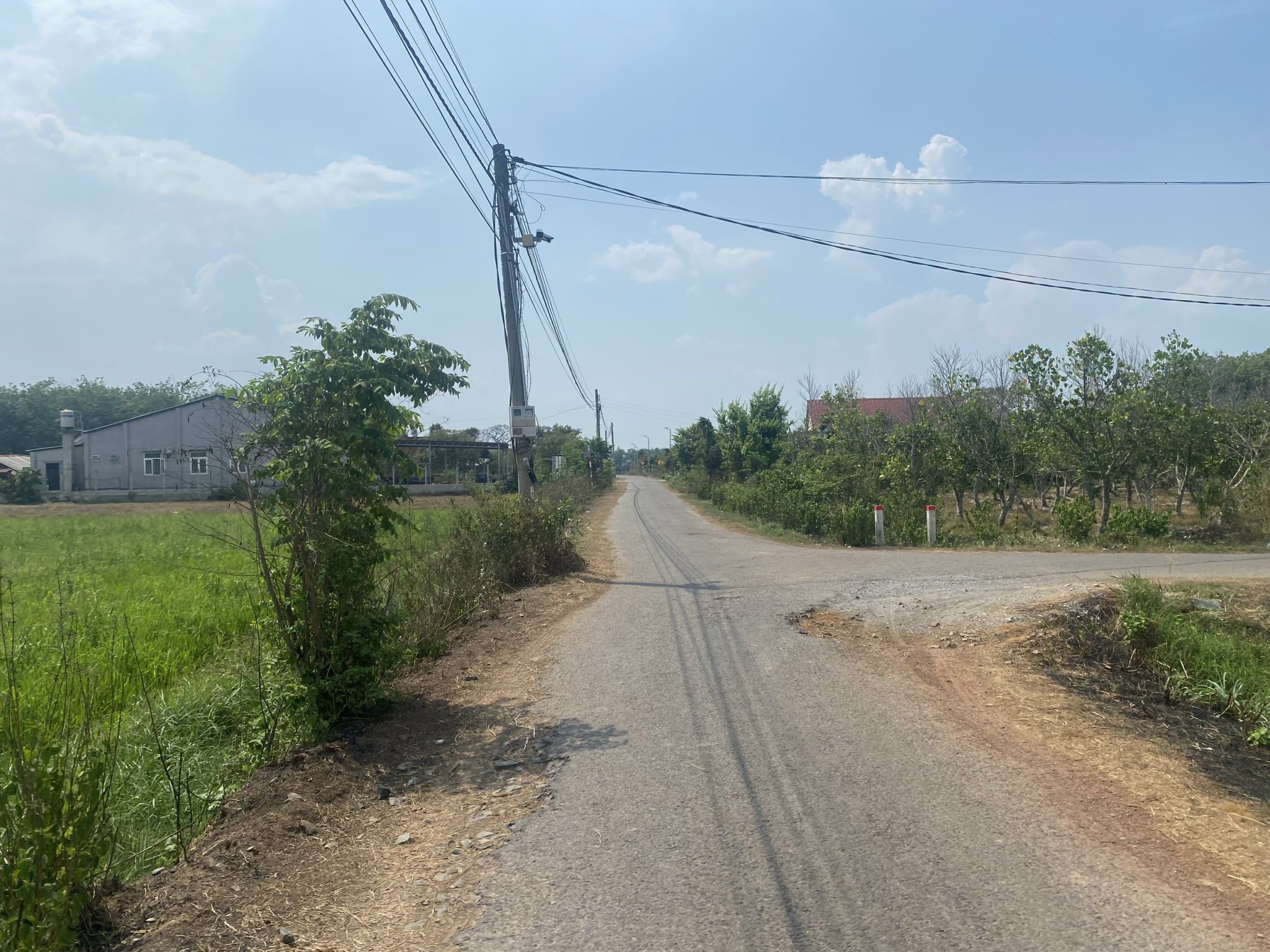 Đất giá tốt tại Bàu Đồn - Gò Dầu - Tây Ninh 143m2 (5x29m)