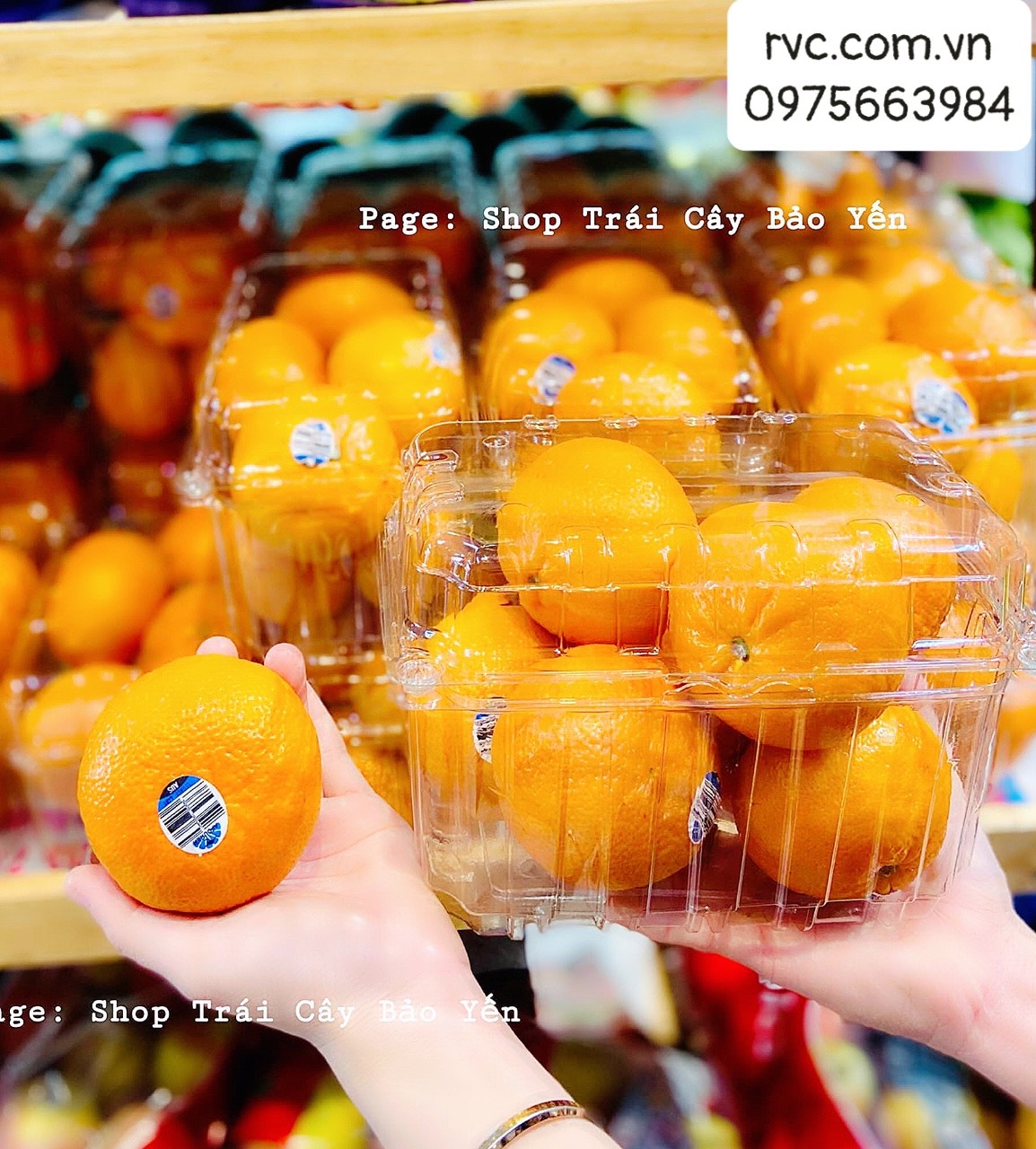 Hộp nhựa P1000B - Giải pháp bảo quản trái cây toàn diện
