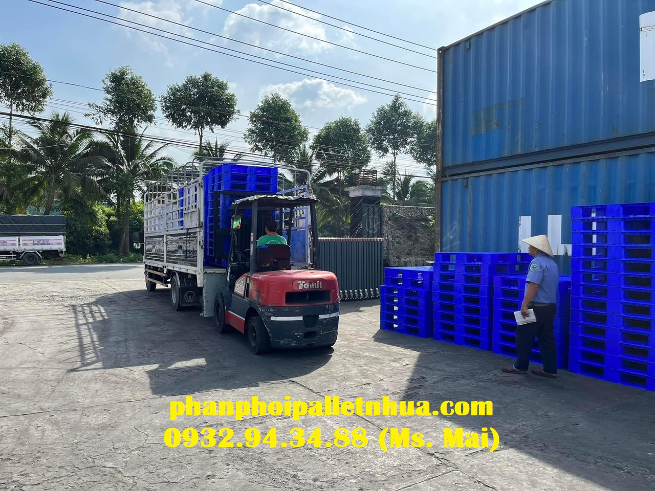 Pallet nhựa giá rẻ tại Bình Thuận, liên hệ 0932943488