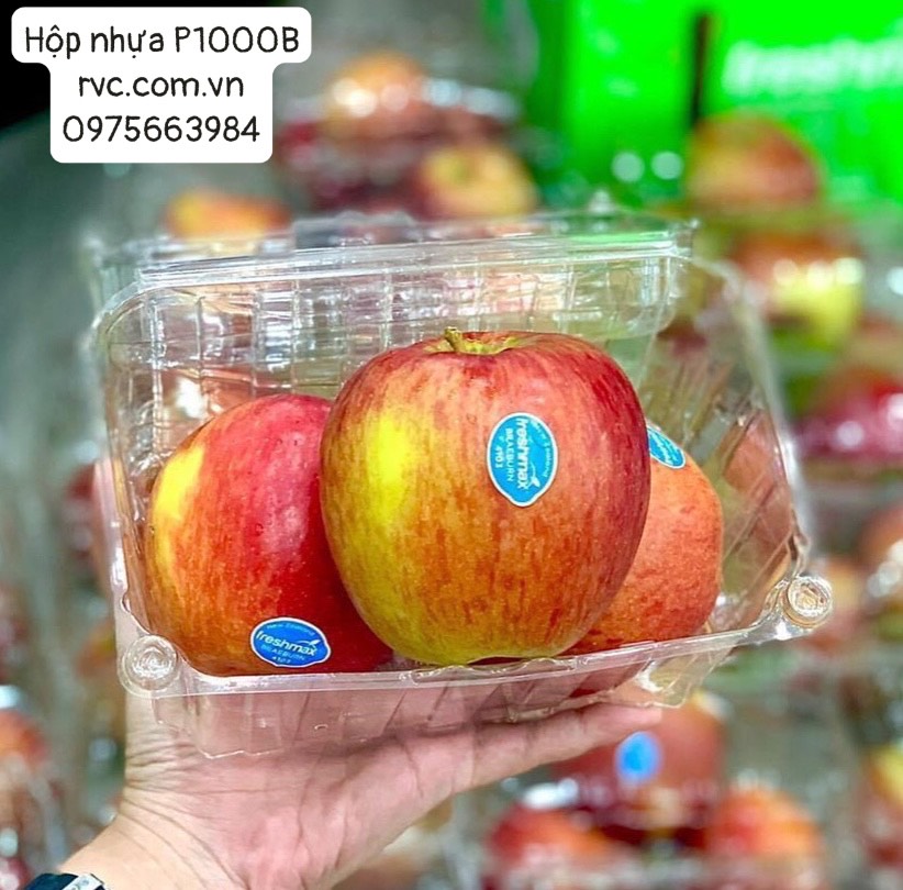 Hộp nhựa P1000B đóng gói và bảo quản trái cây an toàn, tiện lợi