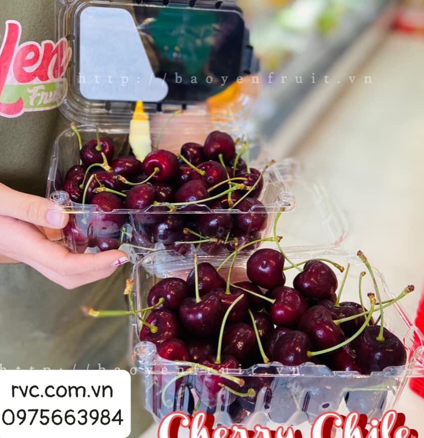 Hộp nhựa đựng hoa quả 500g chính hãng, giá rẻ tại Tân Bình