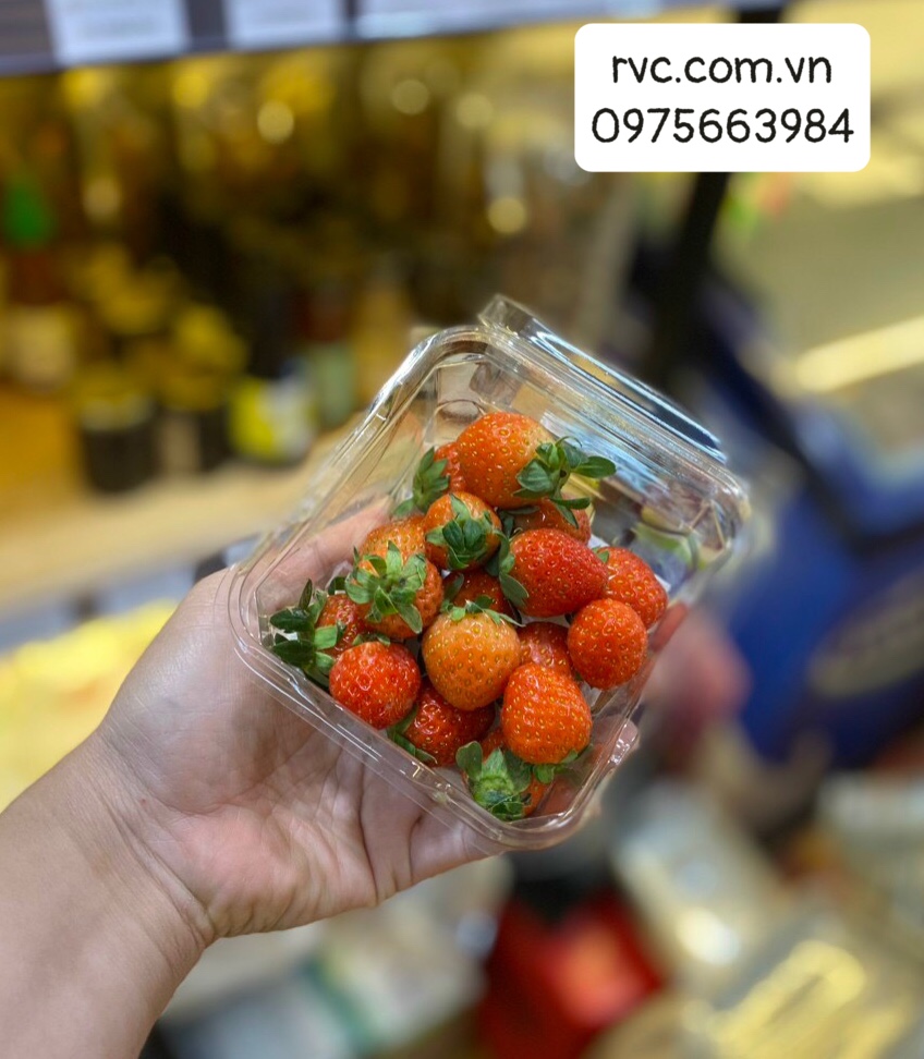 Phân phối và cung cấp giá sỉ hộp nhựa đựng dâu tây tại Mộc Châu.