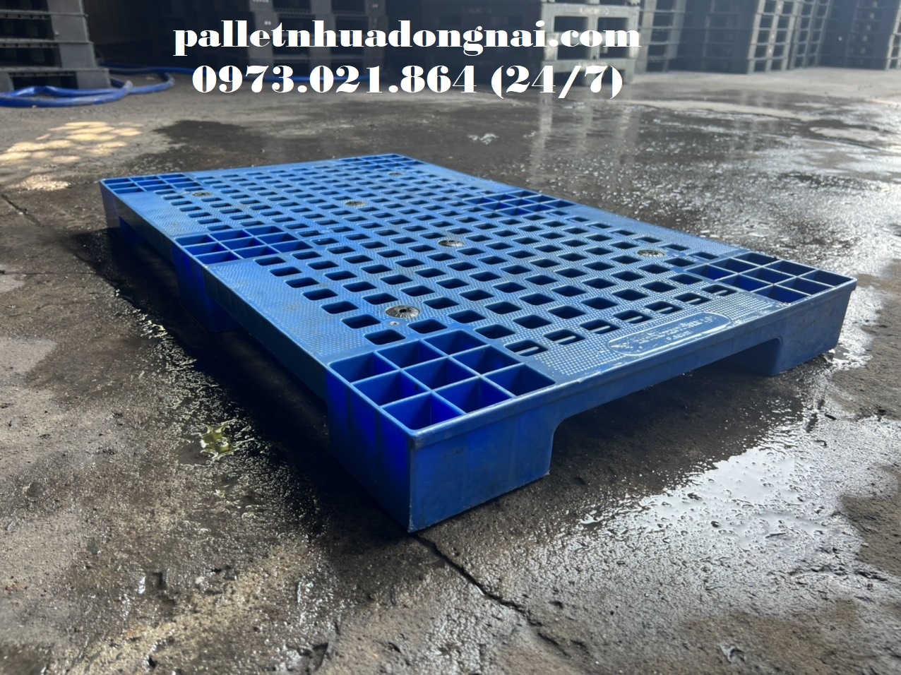 Pallet nhựa tại Đăk Nông, liên hệ 0973021864