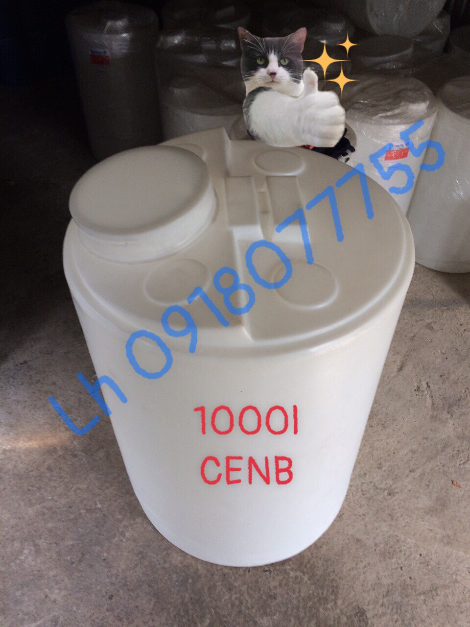 Chuyên bán bồn hóa chất Tema thái lan nhựa PE 1000l _CEN1K0B-M141N