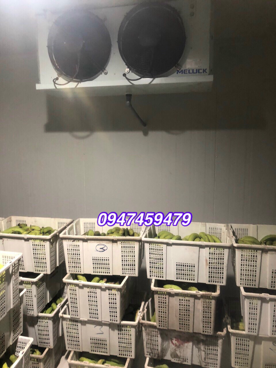 hoàn thiện kho lạnh bảo quản chuối tại Đồng Nai