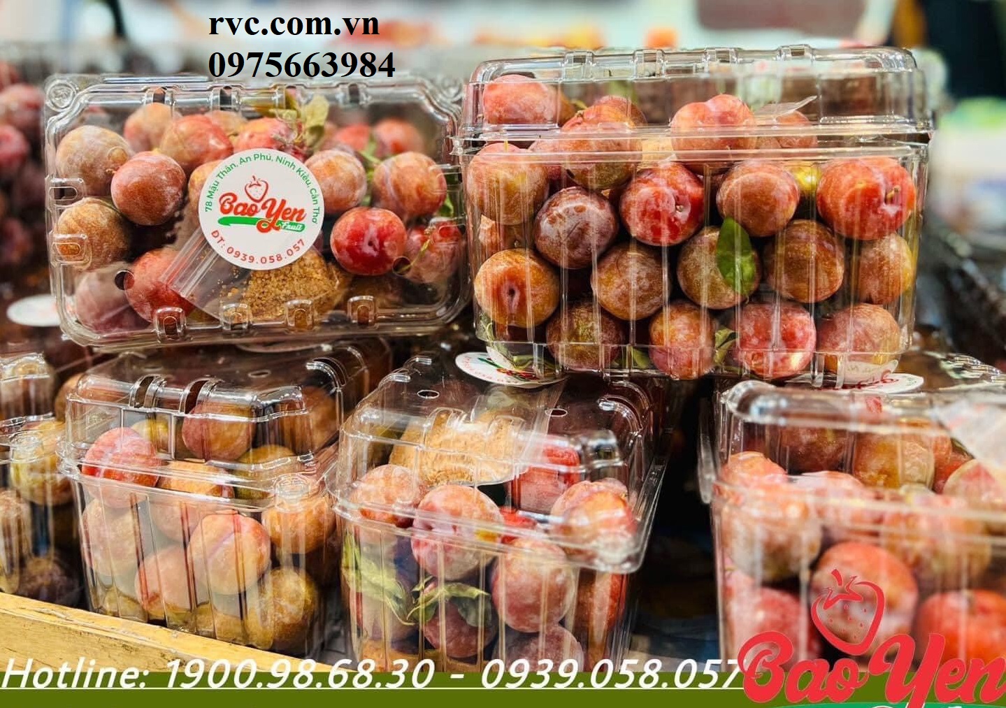 Điểm phân phối hộp nhựa trái cây P1000B uy tín, chất lượng nhất thị trường hiện nay.  1687344466_Hop_dung_man_21.1