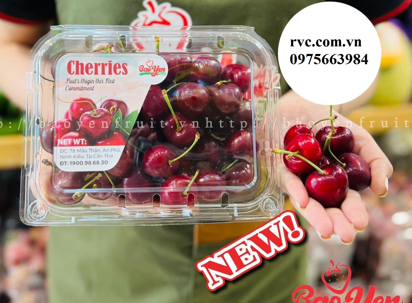 Điểm phân phối hộp nhựa đựng cherry uy tín, chất lượng tại Sài Gòn