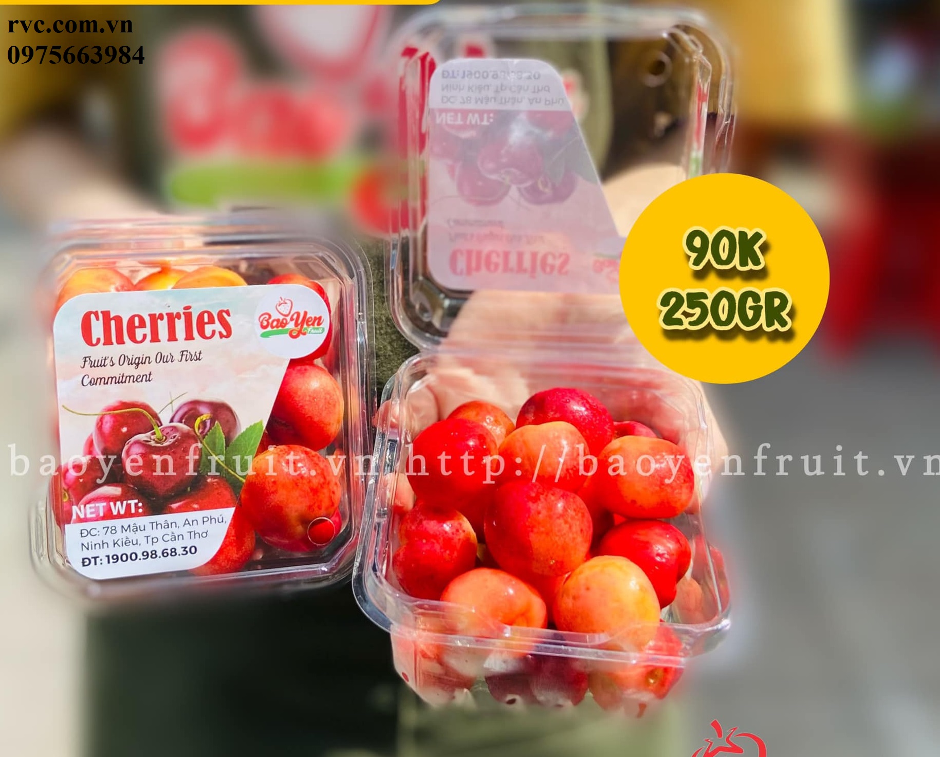 Top mẫu hộp nhựa đựng cherry được ưa chuộng nhất hiện nay