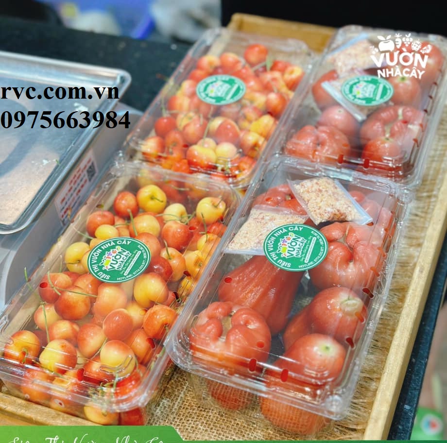 Mẫu hộp nhựa trái cây 1kg đáng mua nhất 2023