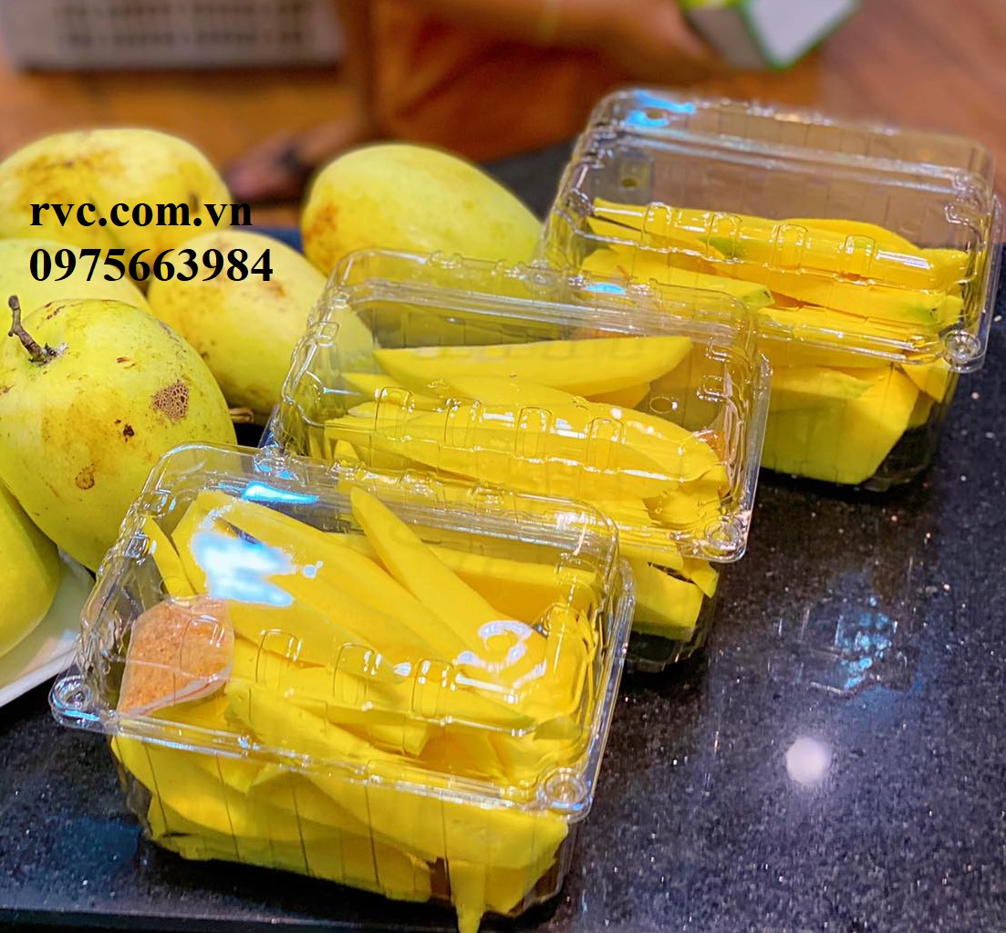 Mách bạn mẫu hộp nhựa trái cây 1kg phổ biến nhất hiện nay.