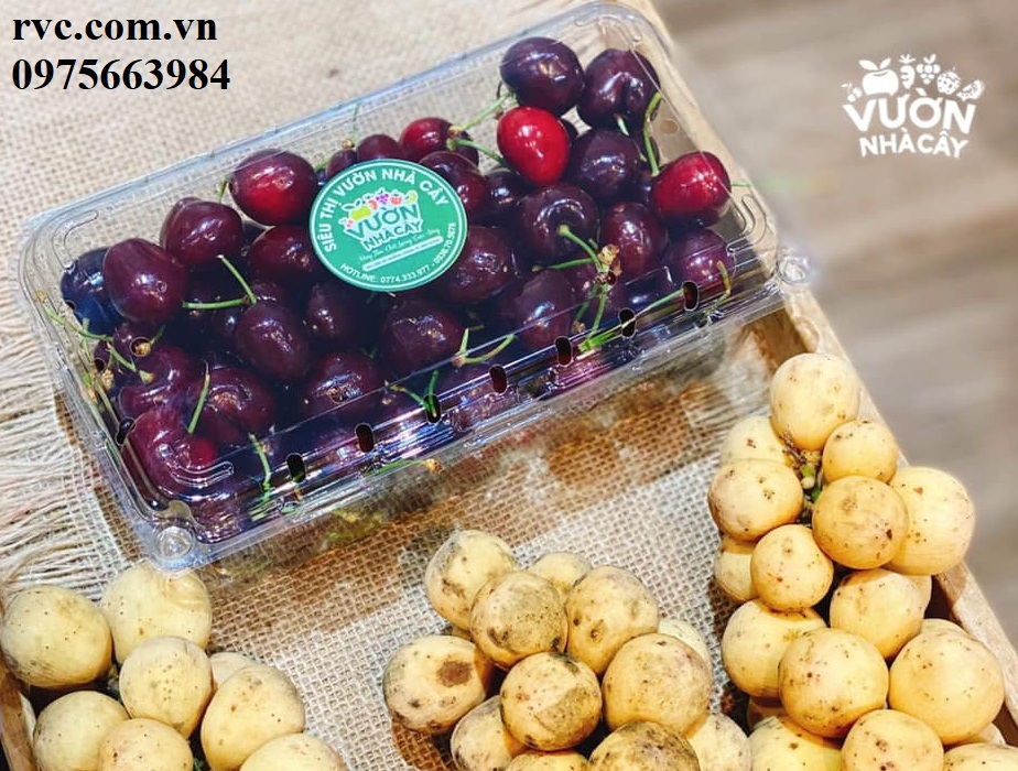 Hộp nhựa trái cây - Giải pháp bảo quản cherry toàn diện.  1691665485_Hop_dung_cherry_08.2