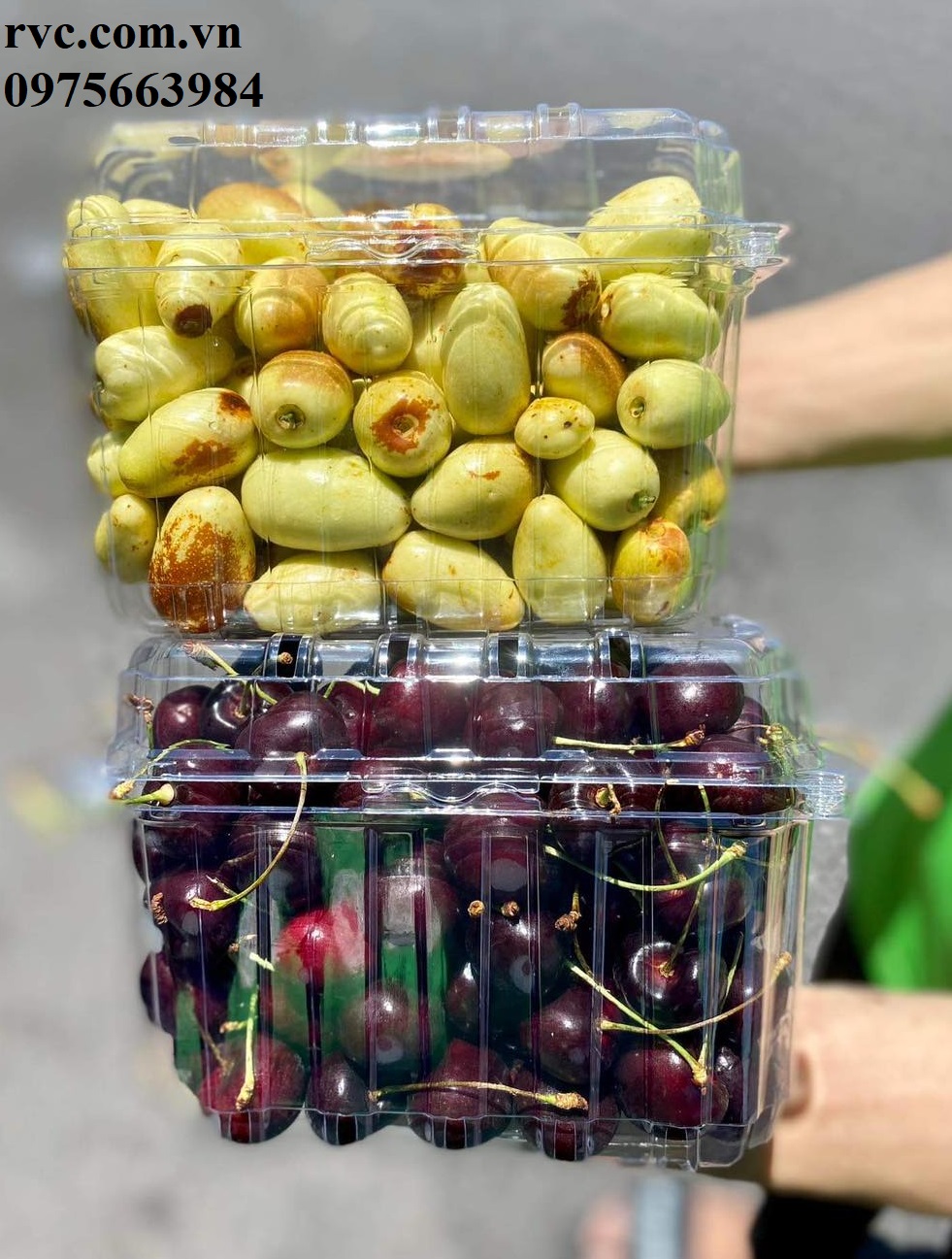 Hộp nhựa trái cây - Giải pháp bảo quản cherry toàn diện.  1691665485_Hop_dung_cherry_18