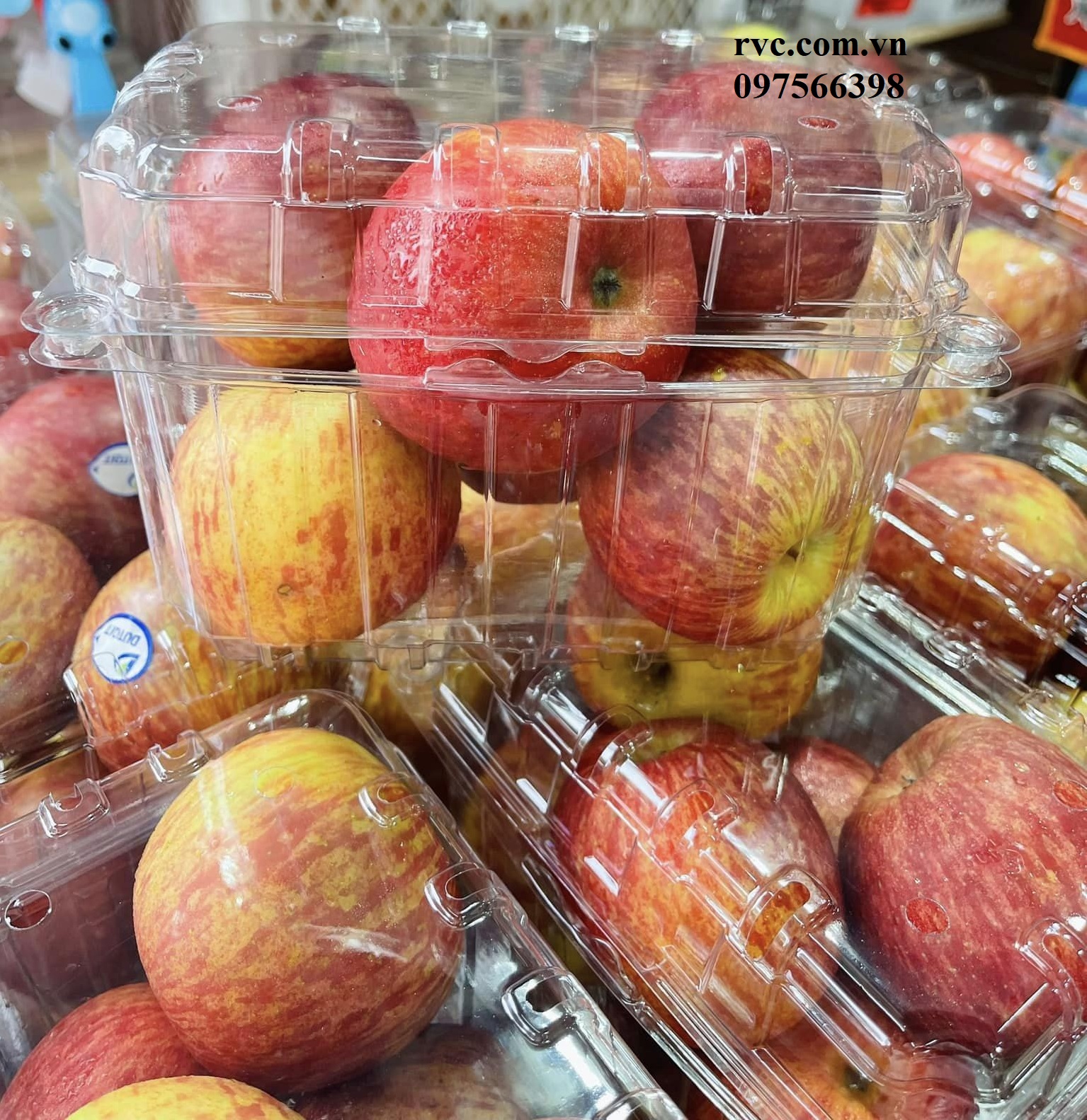 Hộp nhựa đựng trái cây 1kg P1000B phổ biến thị trường hiện nay