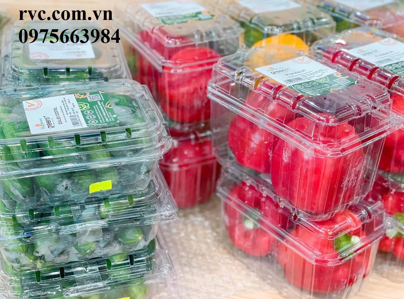 Phân phối và cung cấp giá sỉ hộp nhựa đựng nông sản trên toàn quốc.