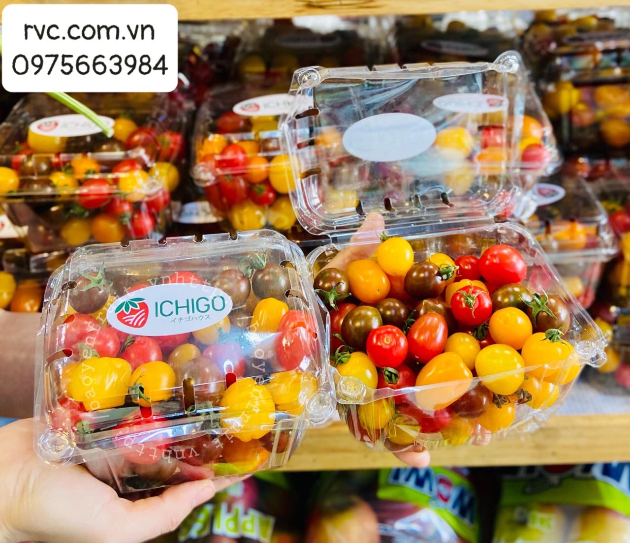 Gợi ý mẫu hộp nhựa trái cây 500g P500D chất lượng trên thị trường.