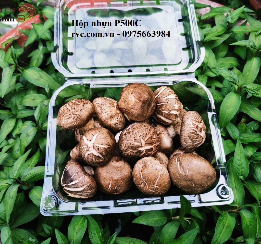 Sỉ hộp nhựa trái cây chất lượng, giá tốt tháng 11/2023 1698913094_Hop_nhua_dung_nam_10