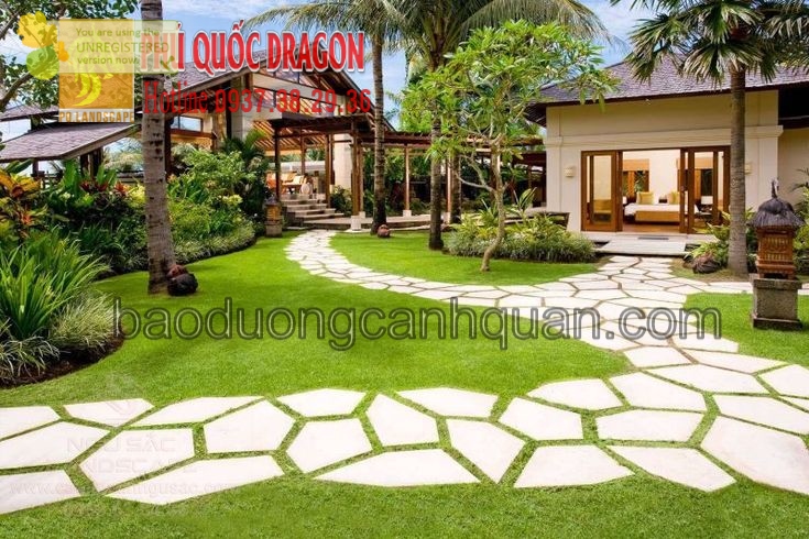 Trồng cỏ sân vườn, cỏ đậu ở HCM, Đồng Nai