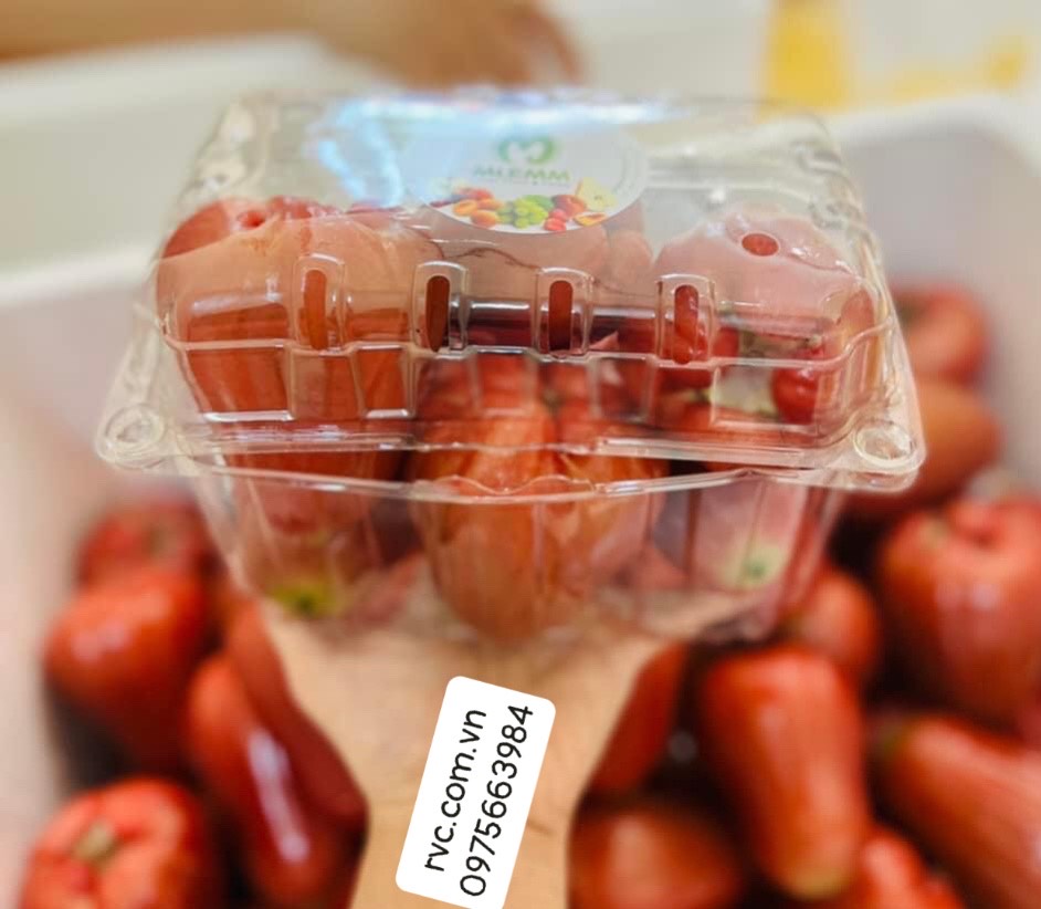 Hộp nhựa trái cây bảo quản cherry an toàn, tiện lợi.