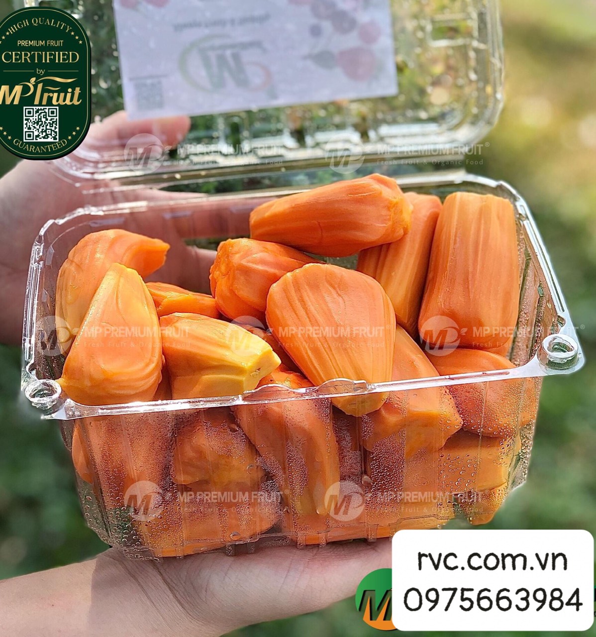 Mách bạn mẫu hộp nhựa trái cây 1kg P1000B chất lượng, giá rẻ.