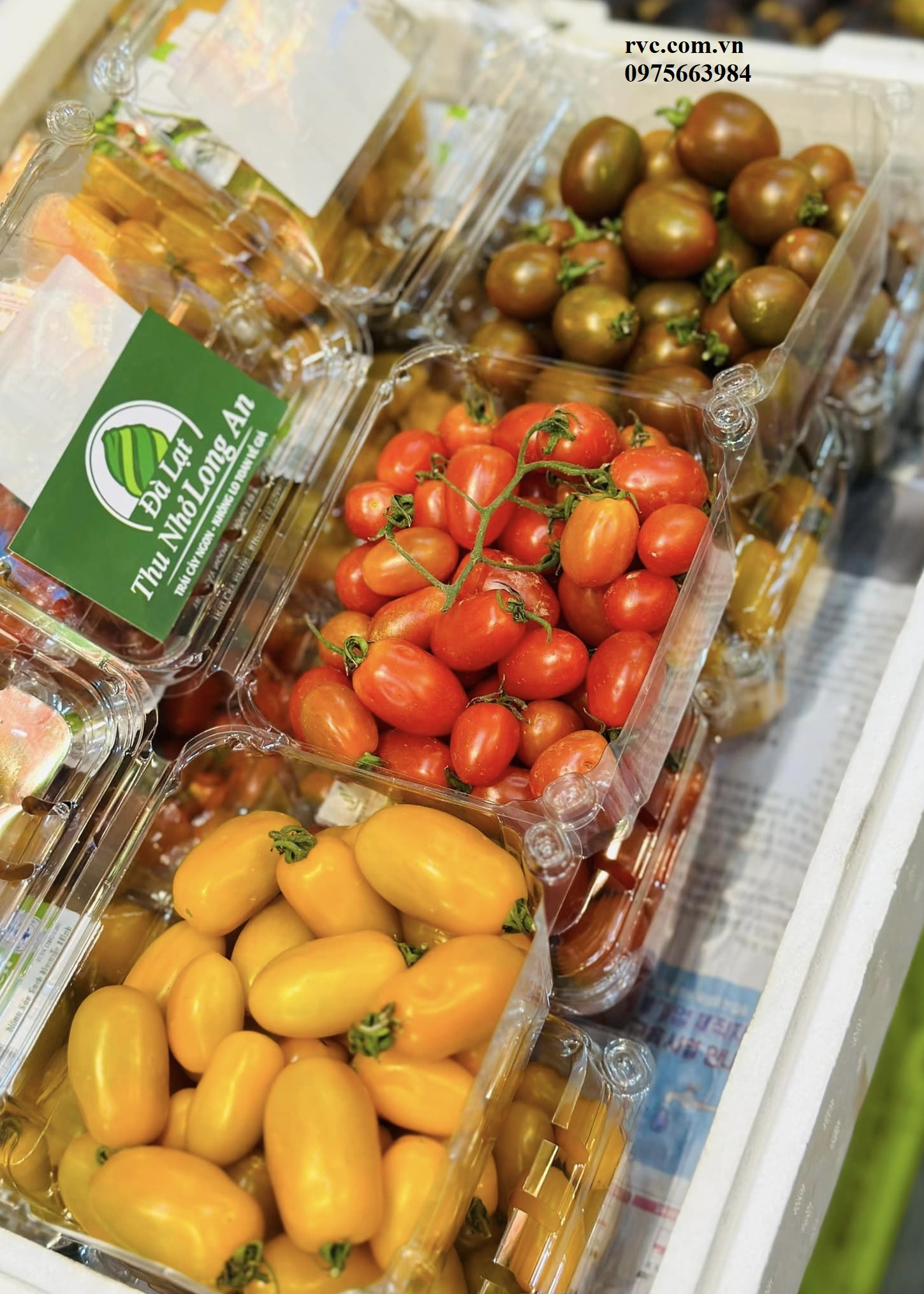 Chuyên sỉ hộp nhựa đựng hoa quả trên toàn quốc
