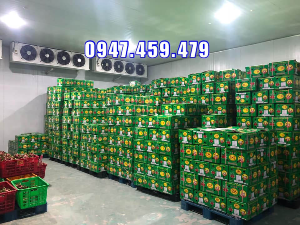 cung cấp kho mát trữ thanh long tại quận 9 0947459479 kho mát