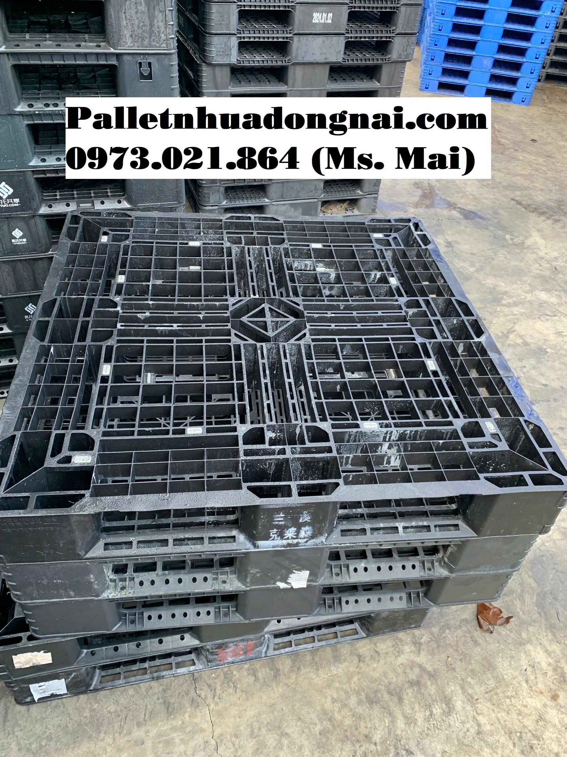 Pallet nhựa tại Bình dương giá rẻ cạnh tranh, liên hệ 0973021864