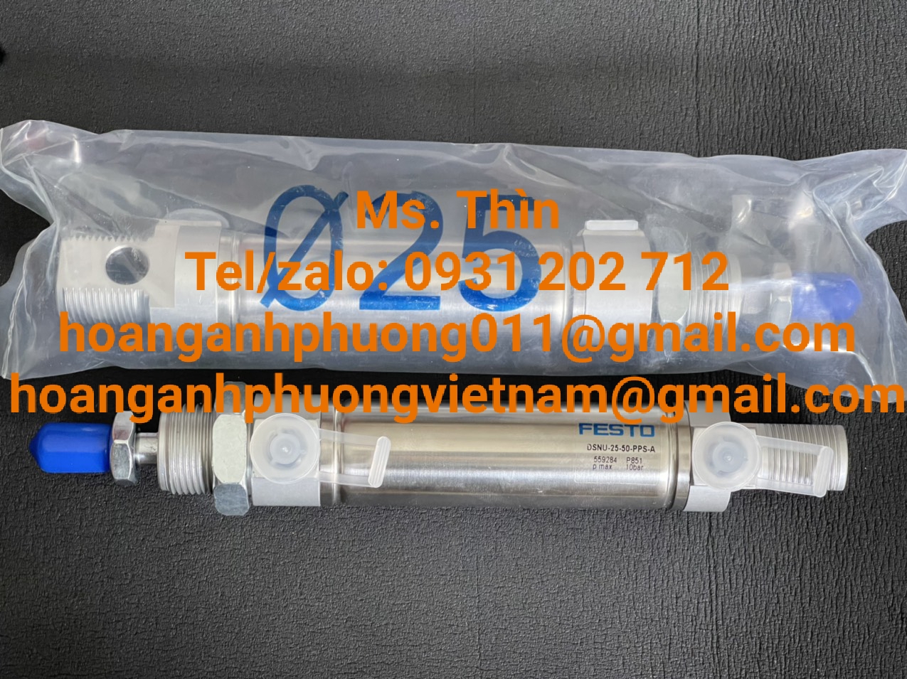 Xy lanh Festo  DSNU-32-100-P-A  Hàng nhập khẩu
