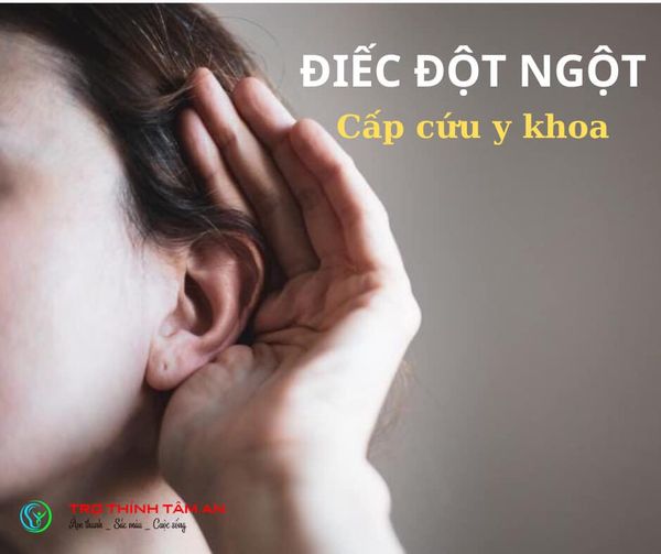 Bệnh điếc đột ngột - Trung tâm trợ thính Tâm An Nam Định