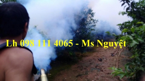 Bán máy phun khói diệt côn trùng HLC 250 - Diệt mọi loại côn trùng cực hiệu quả