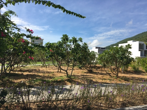 Green Home Quy  Nhơn – “ Phú Mỹ Hưng” ngay tại trung  tâm tp biển Quy Nhơn
