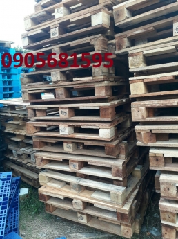 Quảng Trị bán Pallet gỗ thông- gỗ thông Pallet 0905681595