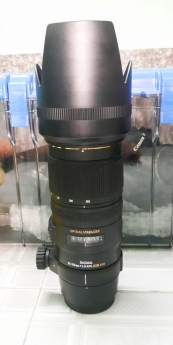 Lens Cao cấp Sigma 50-150 F2.8 EX APO OS HSM cho canon rất mới