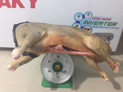 Cung Cấp Thịt Dê Đồng Nai - Bình Dương 290K/kg