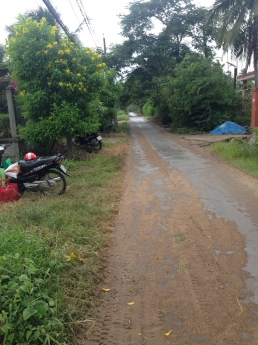 Cần bán đất mặt tiền xã Phú An Hoà