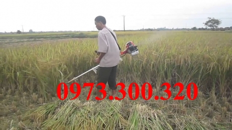 Mua máy gặt lúa thủ công đeo vai động cơ HONDA GX35 ở đâu tại Hà Nội tốt nhất