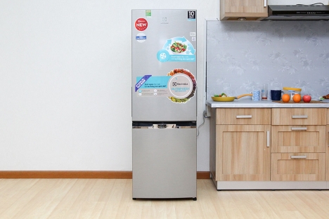 Tủ lạnh Electrolux ETB2600MG, EBB2600MG-XVN khuyến mại, giá rẻ