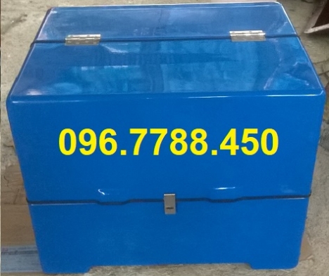 Thùng chở hàng nhựa composite, thùng chở hàng sau xe máy call 096.7788.450 Ngọc Nghĩa