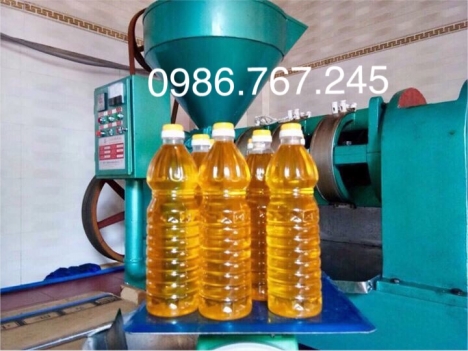 Máy ép dầu lạc công nghiệp guangxin yzyx 10j-2wk giá rẻ nhất tại hà nội
