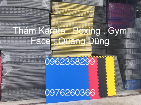 thảm karate, boxing, gym
