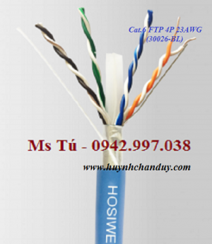 Cáp mạng Cat.6 FTP, chống nhiễu màng aluminum - Hosiwell Cable