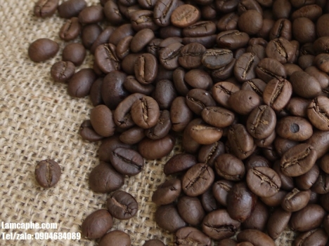Cà phê phin, Cafe máy giao miễn phí tại Thủ Dầu Một Bình Dương