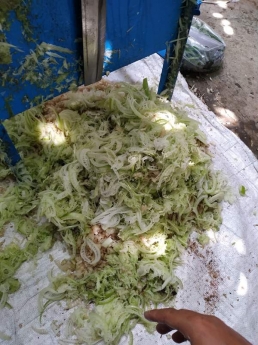 Máy thái chuối, băm cỏ đa năng giá rẻ tại Ninh Thuận