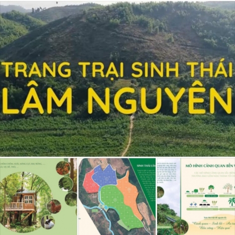 Trang Trại Sinh Thái Lâm Nguyên, Sổ riêng, giá hâp dẫn 580tr/4000m2