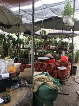Gói thiết bị giá siêu tiết kiệm cho cửa hàng cây cảnh ở Hà Nội