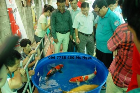 Bồn nhựa nuôi cá koi hình tròn giá rẻ giao toàn quốc