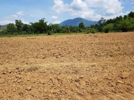 Bán đất trang trại tại Hòa Bình, huyện Lạc Thủy 1800m2