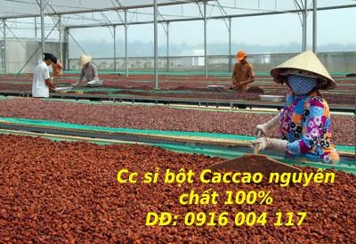 Bột Cacao nguyên chất 100% từ Cao nguyên