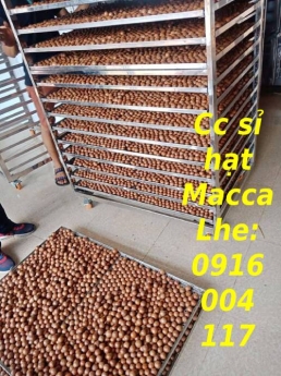 Cc hạt Macca giá sỉ giao toàn quốc Lhe 0916004117