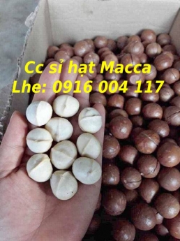 Cc hạt Macca giá sỉ giao toàn quốc Lhe 0916004117